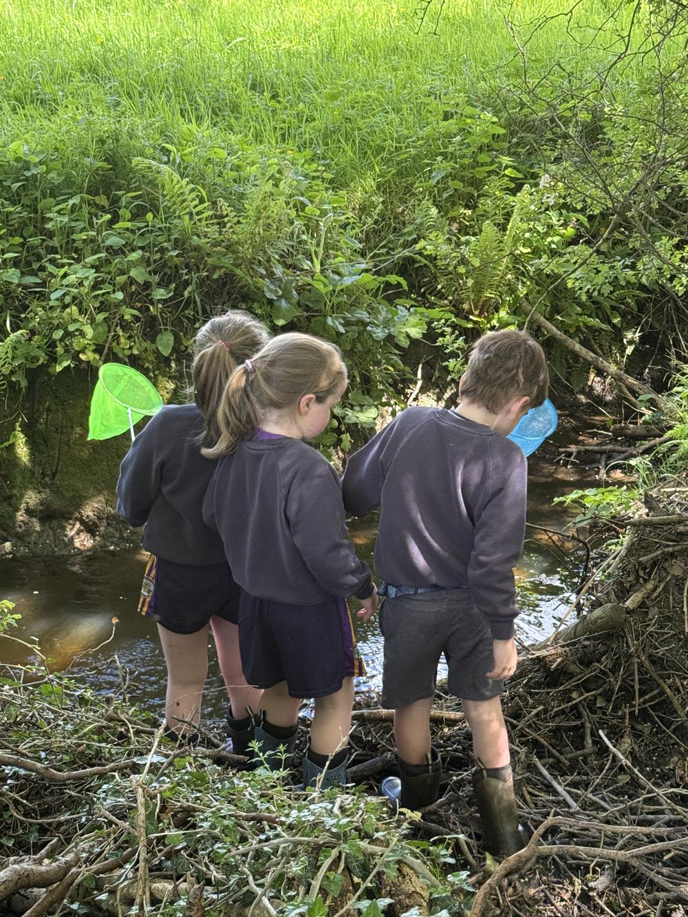 Primary school pupils netting in a stream