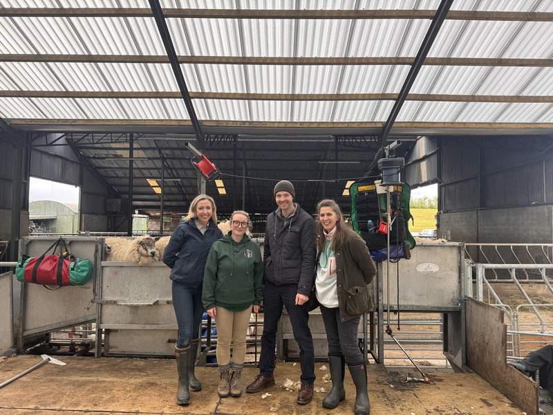 Farmers at the WFFC sheep clipping event