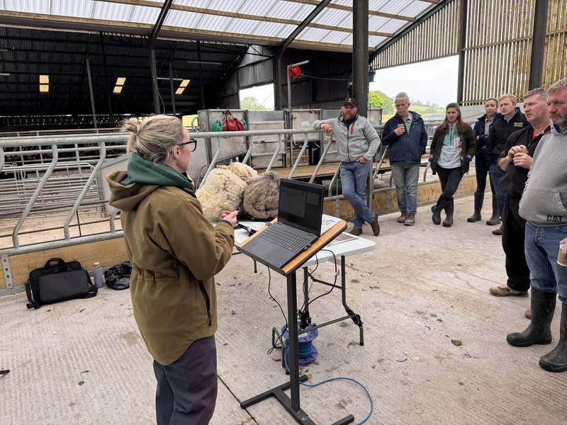 Farmers at the WFFC sheep clipping event